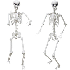 Hibsotco front-facing two skeletons showing realistic scale and spooky curb appeal