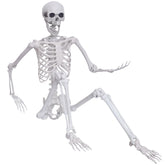 Hibsotco skeleton front view showing full life-size height and realism