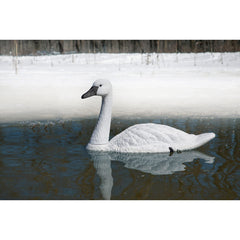 Higdon Outdoors decoys floating on a pond demonstrating stable suction-keel floating benefit