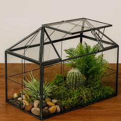 HighFree front view of house-shaped terrarium showcasing modern display benefits