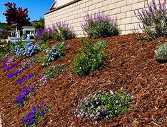 Hillside Planter beside a 1–5 gallon pot to show scale and planting fit