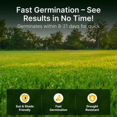 Hit List Seed sprouting seedlings emerging from soil demonstrating fast establishment