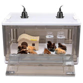 HKDQ brooder front view showing transparent panel and insulation benefit
