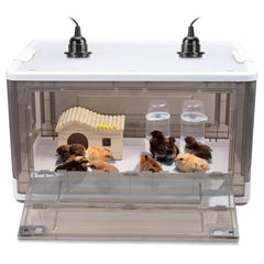 HKDQ brooder front view showing transparent panel and insulation benefit