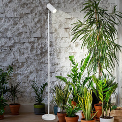 HMVPL close-up of 20W COB bulb showing efficient heat dissipation and brightness advantage