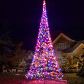 Holilite flagpole tree front view showing full 23ft display and curb appeal