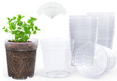 homenote front view of 15 clear nursery pots showing organized pack benefit
