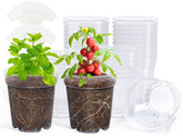 homenote front view of 30 clear nursery pots showing pack and organization benefit