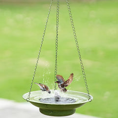 HOUYANG bowl interior with water showing shallow bird-friendly bathing benefit