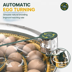 howooiua adjustable egg trays demonstrating flexible arrangement for multiple species
