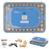 howooiua front view of incubator showing capacity and user-friendly layout