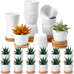 Hsei front view of 24 white ceramic pots showing uniform set and trays for event styling