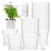 Hushee clear planter front view showing transparent walls and neat shape benefit easy inspection