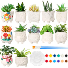 Hushee front packaging showing 12-pc paintable planter kit and contents