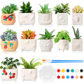 Hushee fruit planters front display showing all twelve pots and colors, inspiring creativity