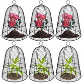 Hydream front view of 6-pack cloches showing neat garden-ready protection