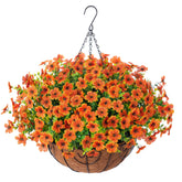 HyeFlora front view of hanging basket showing full fall color and instant curb appeal