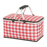 IACTIVE front view red grid showing organized packed picnic and portability