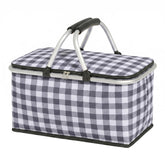IACTIVE front view of insulated picnic basket showing black grid and handles for easy carrying