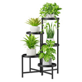 iDavosic.ly front view showing full five-tier stand and display benefit
