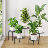 iDavosic.ly front view of black metal plant stand showing sleek profile and support
