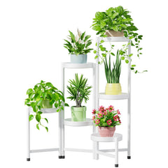 iDavosic.ly front view of 6-tier white plant stand showing organized display
