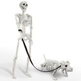 IDEAALS human skeleton front view showing poseable limbs and eerie glow benefit