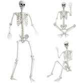 IDMOP giant skeleton front view showing full 7.9ft height and dramatic presence