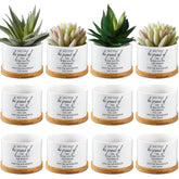 Inbagi front view of 12-pack ceramic pots showing neat packaging and gift presentation benefit