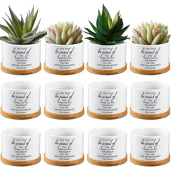 Inbagi front view of 12-pack ceramic pots showing neat packaging and gift presentation benefit