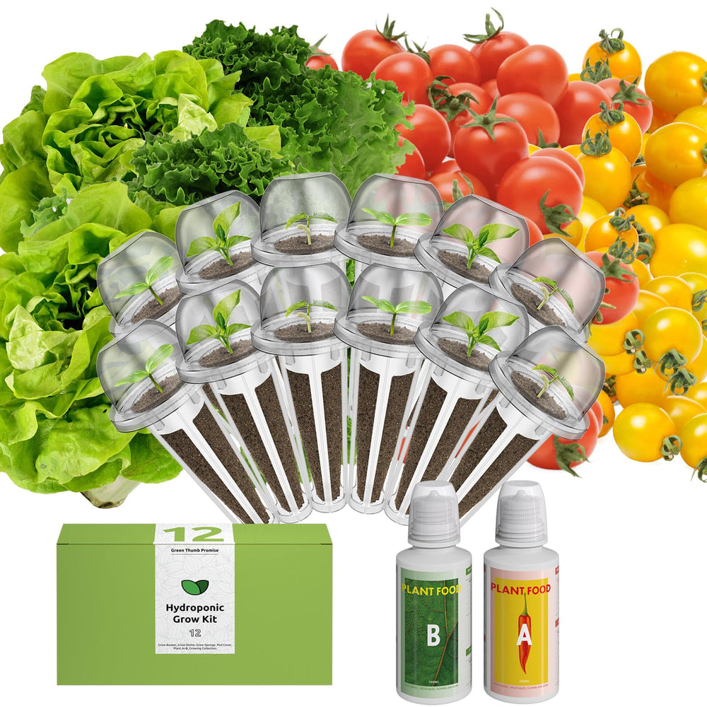 inbloom front packaging showing kit contents and benefits