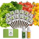 inbloom front packaging showing kit contents and benefits