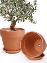 INGOFIN front view of two 12-inch terracotta pots showing classic finish and size benefits