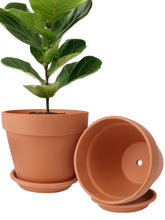INGOFIN front view of two terracotta pots set showing classic finish and benefit of style