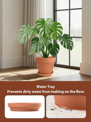 INGOFIN saucer collecting runoff to protect surfaces and keep planters tidy