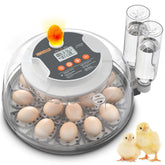 Innvello incubator front view showing compact design and clear lid for easy monitoring