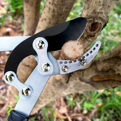 Jardineer loppers cutting a two-inch hardwood branch in garden, showcases powerful ratchet action