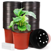 JERIA front view of 200-pack pots shows quantity and packaging benefit