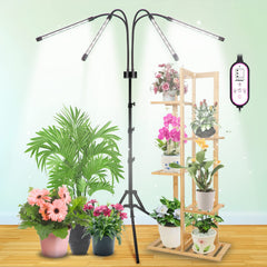 JIRBEEY front view with tripod showing stable vertical support and flexible lighting benefit
