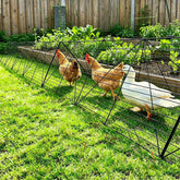 JOFUYU front view of foldable chicken tunnel showing sturdy structure and safety