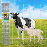 Jotesnew front view of panel roll showing length and height for quick assessment
