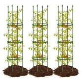 joyhalo front view assembled cage showing stable support for plants