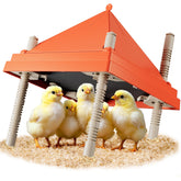 JXJHOVV front view of brooder plate showing wide heated surface and clean design benefit