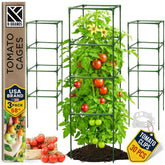 K-Brands front view of square tomato cage showing sturdy support and plant protection