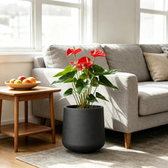 Kante side profile highlighting curved silhouette and sleek lines