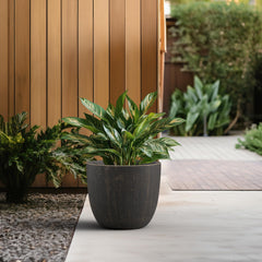 Kante side profile with dimensions showing size and stable base