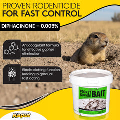 Kaput Kaput-D wheat grain close-up texture highlights bait palatability and consistent grain size