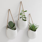 Kazai Ellie front view showing three glossy white ceramic planters and clean lines, adds modern style