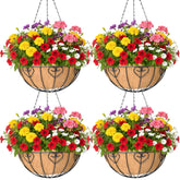KIDYBELL front view of four black hanging planters showing cohesive look and curb appeal
