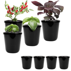 Kiicii front view of eight black Kratky buckets showing compact kit and portability benefit